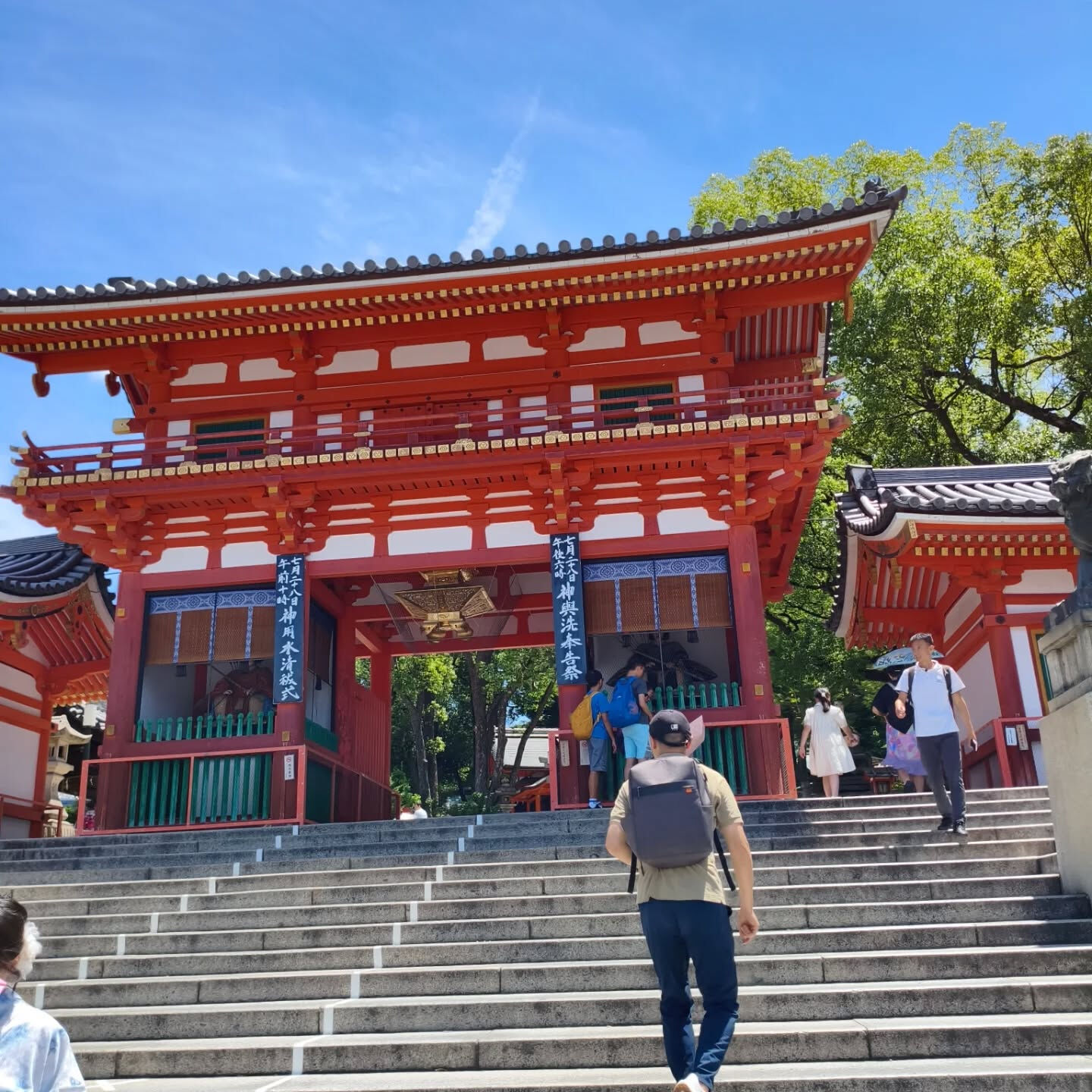 ・････━━━夏風邪━━━････・