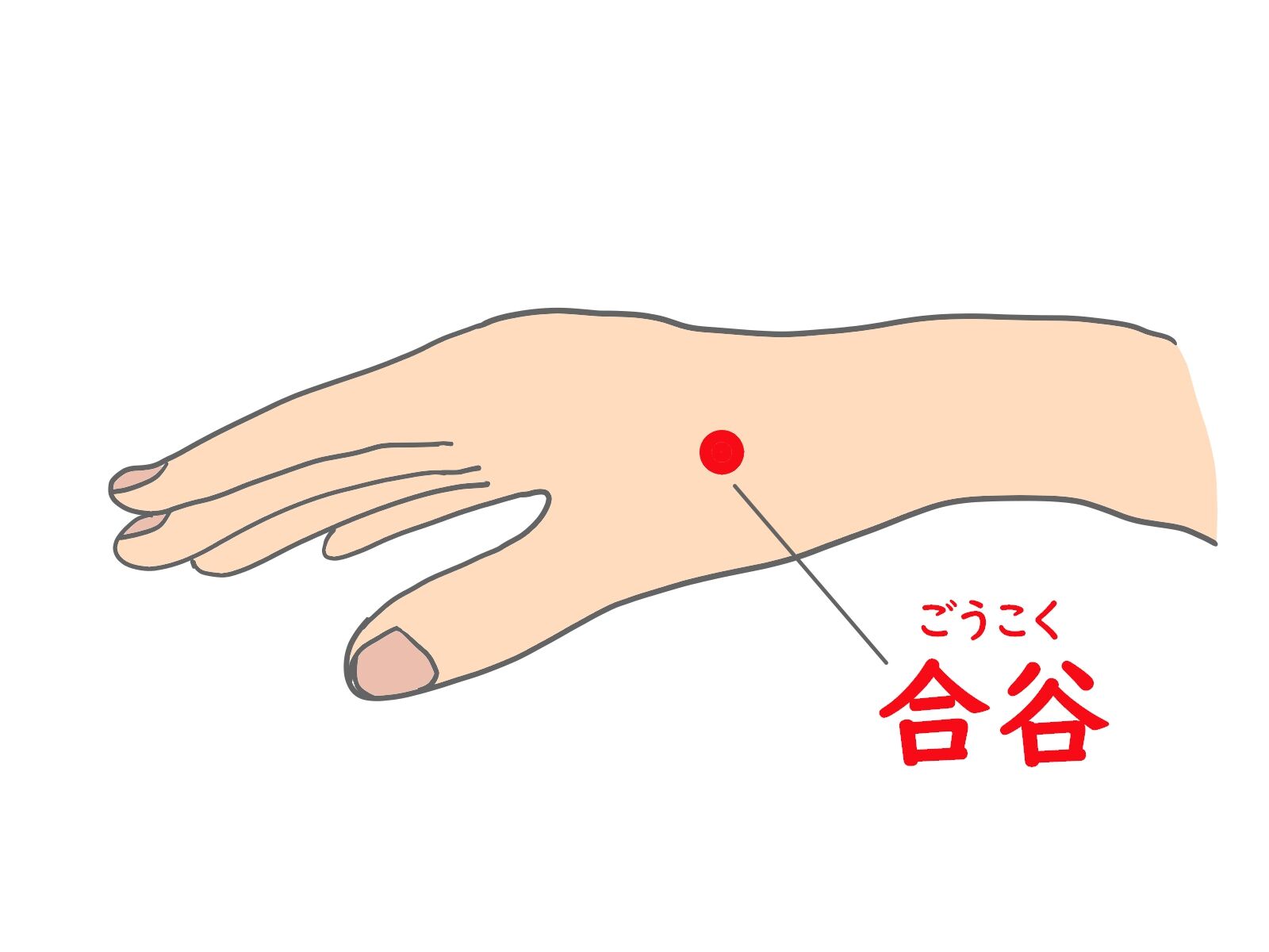 合谷.jp