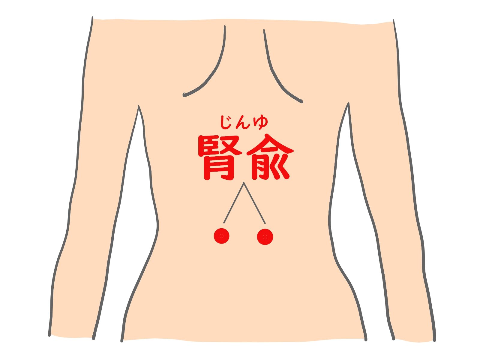 腎兪.jp