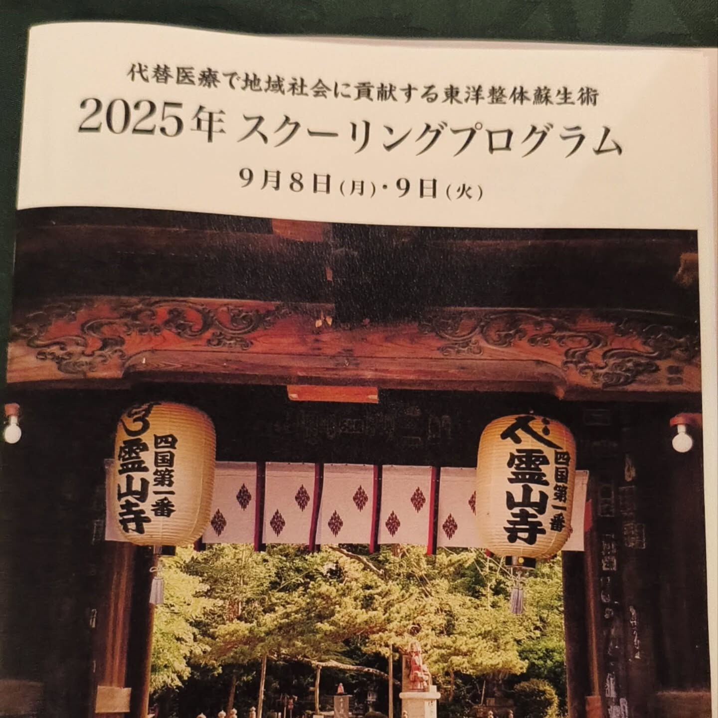 ┈┈スクーリング大会┈┈⿻*