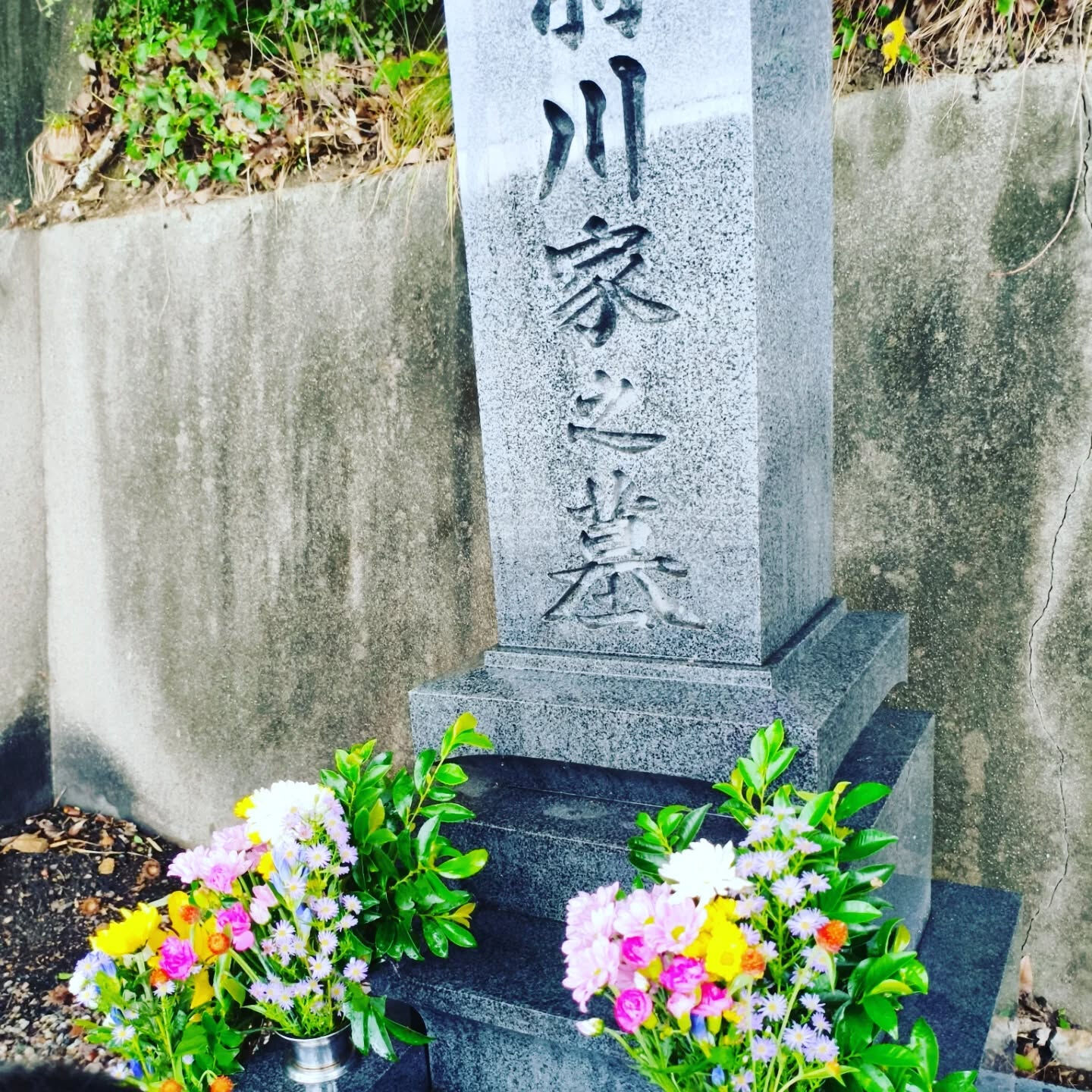 *────秋分の日────*