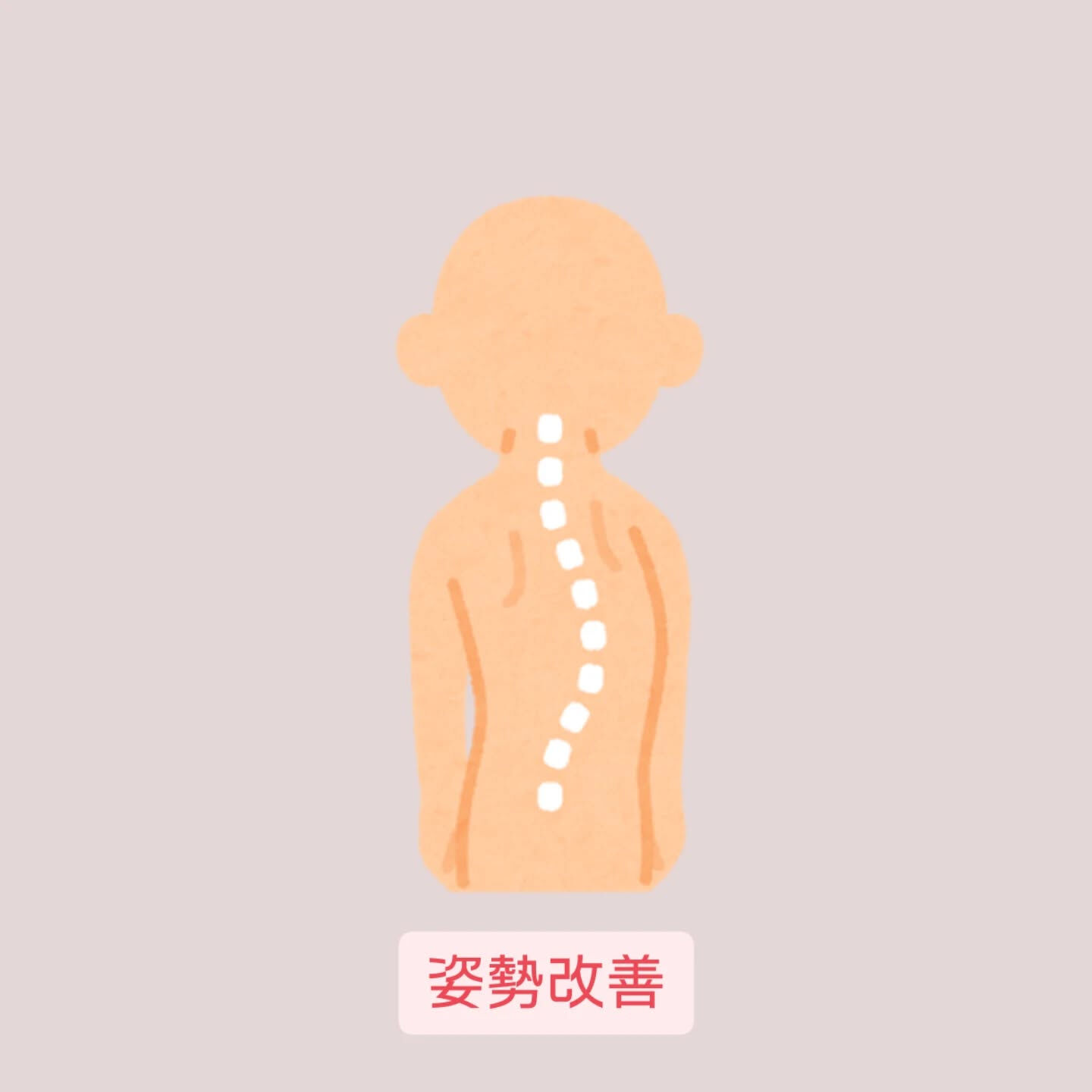 こんな方に来ていただいています😌