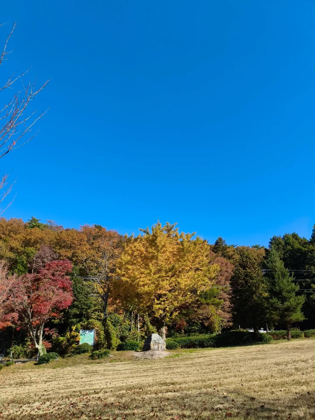 不調=病院