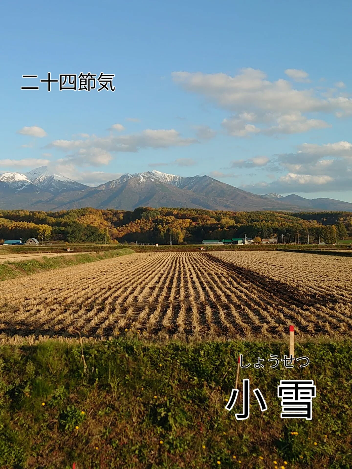 二十四節気　小 雪 ( しょうせつ )