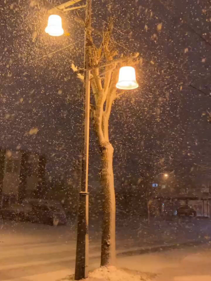 二十四節気　小 雪 ( しょうせつ )