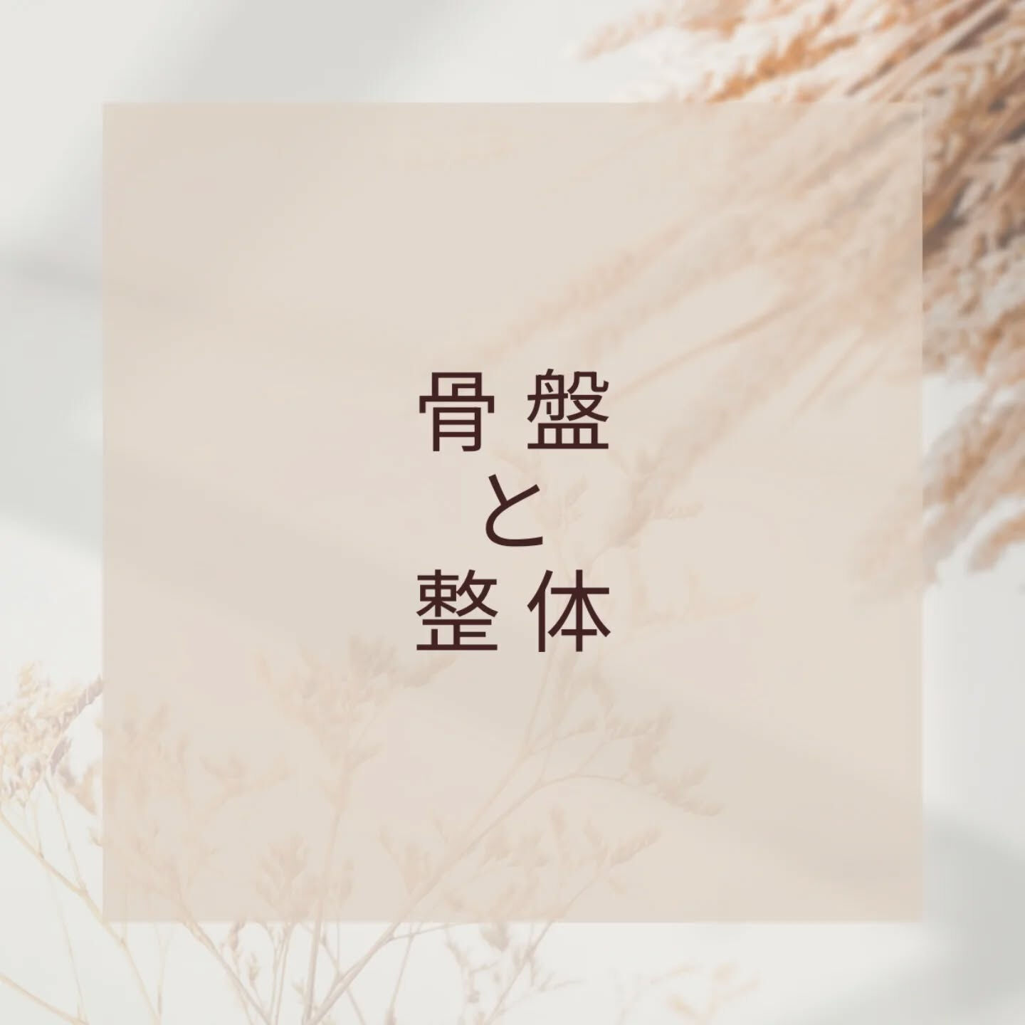 骨 盤 