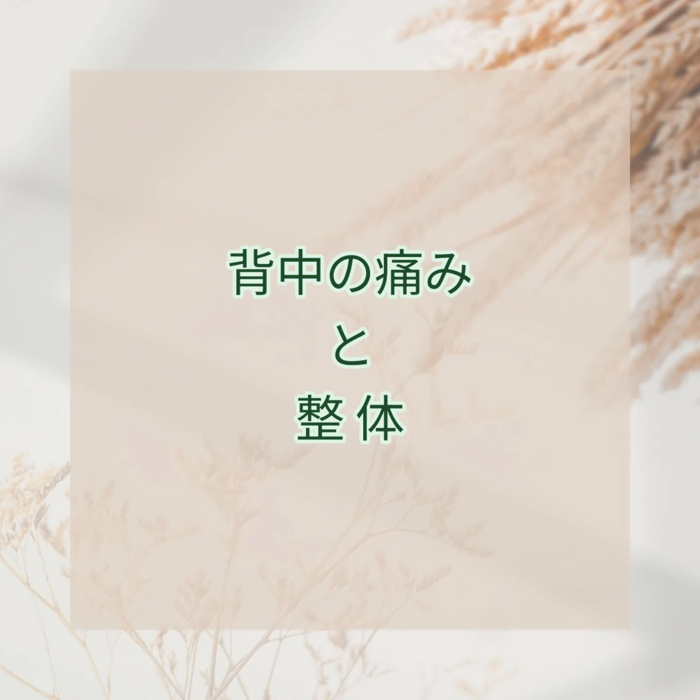 背中の痛み😫