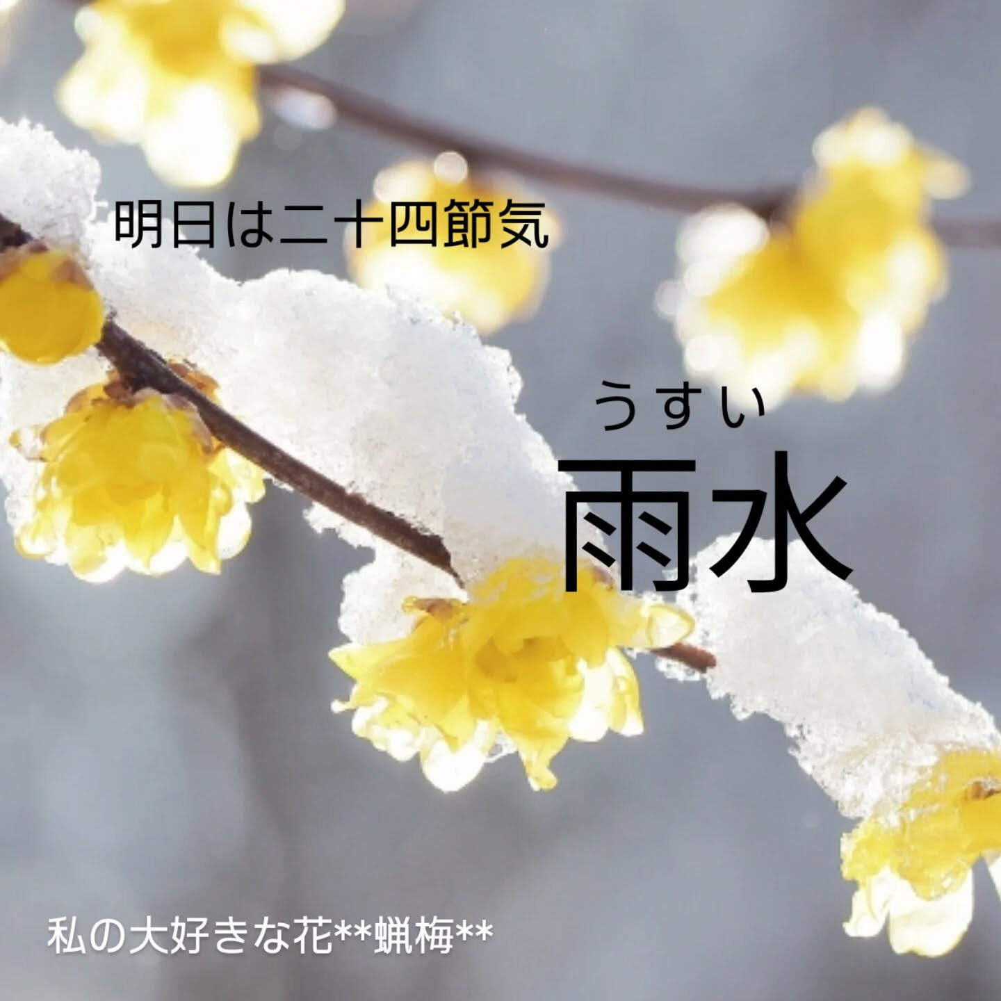 春は、氷がとけるように「体」をゆるめる季節🌸