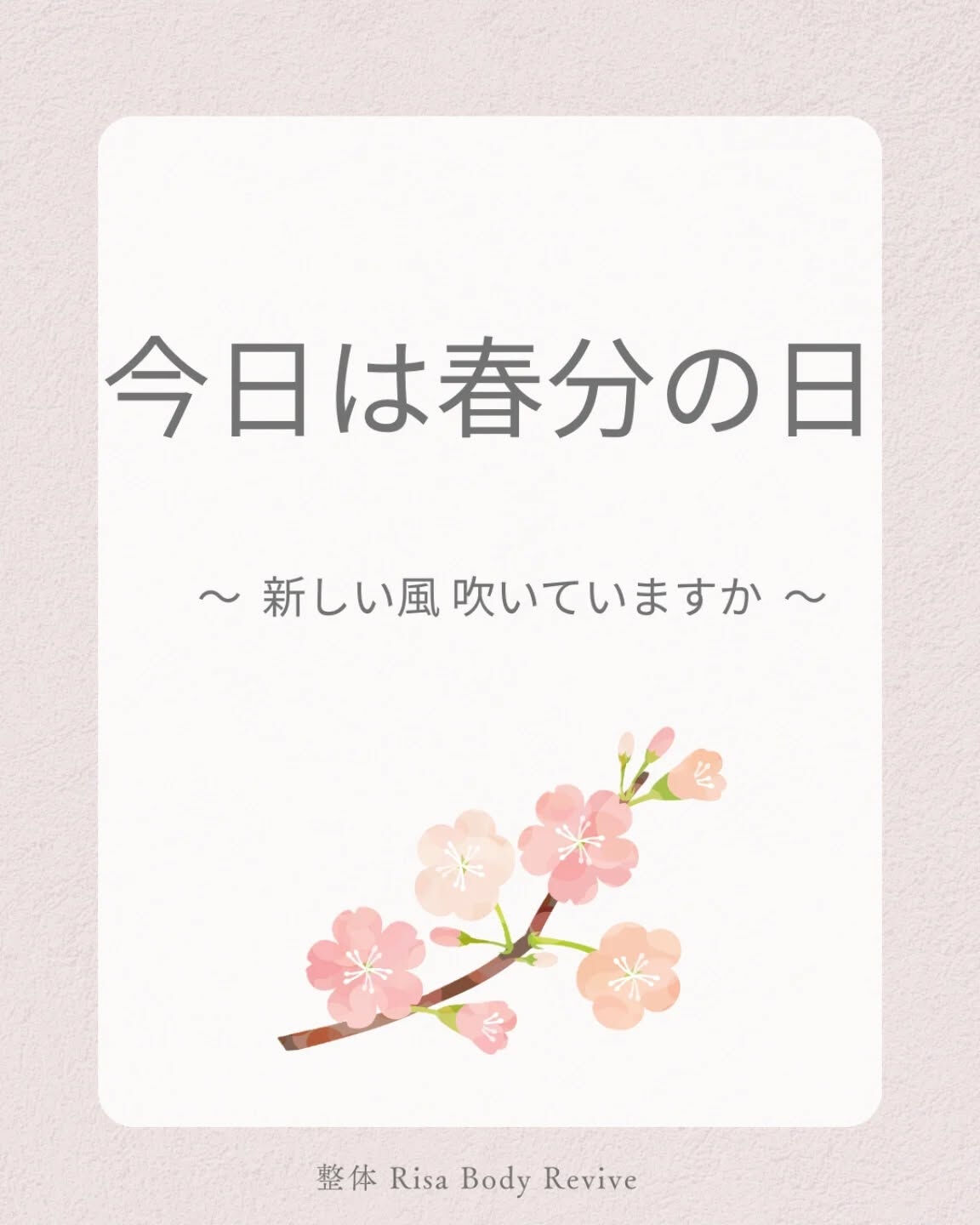 今日は春分の日🌸