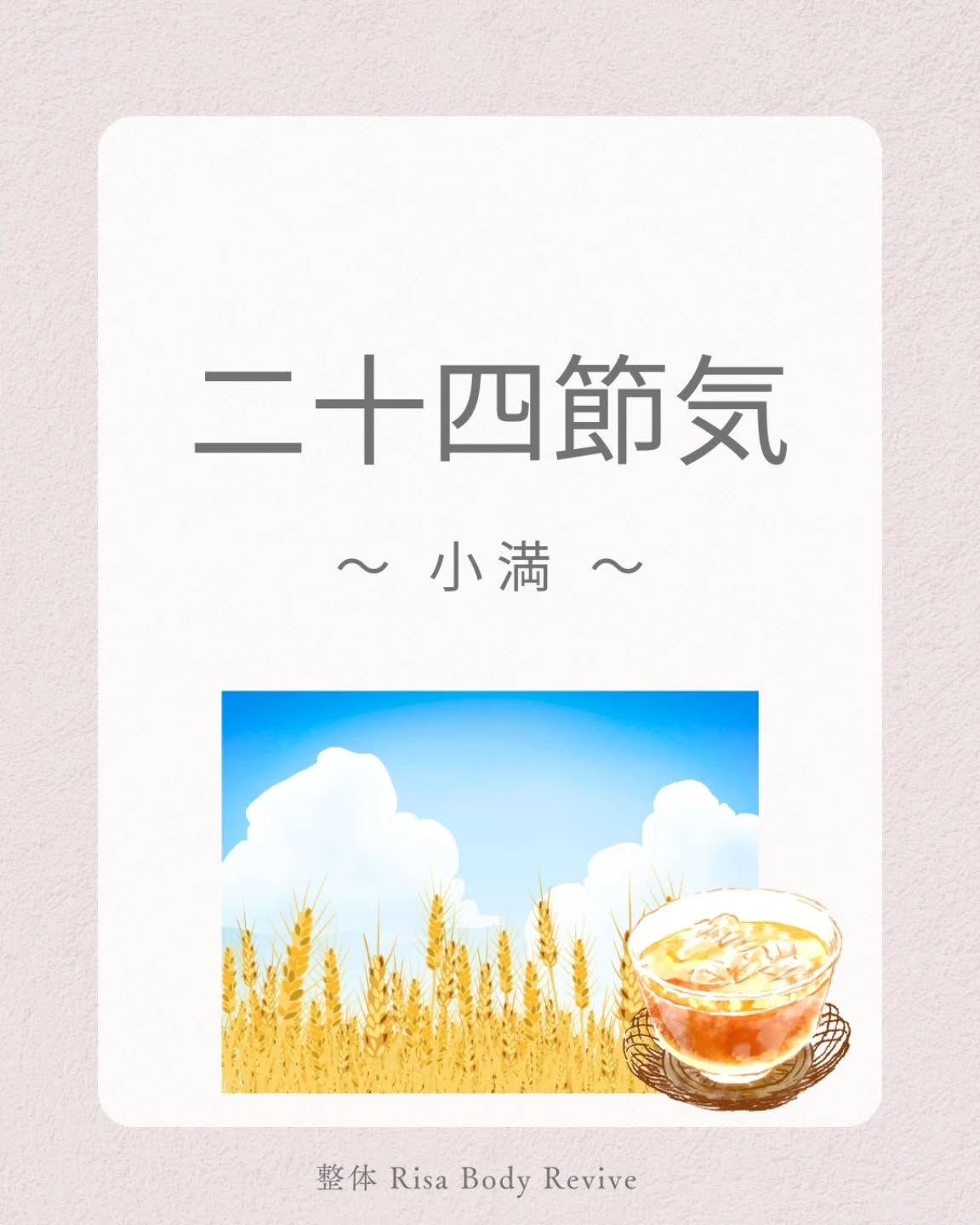 二十四節気の『小満』🌿