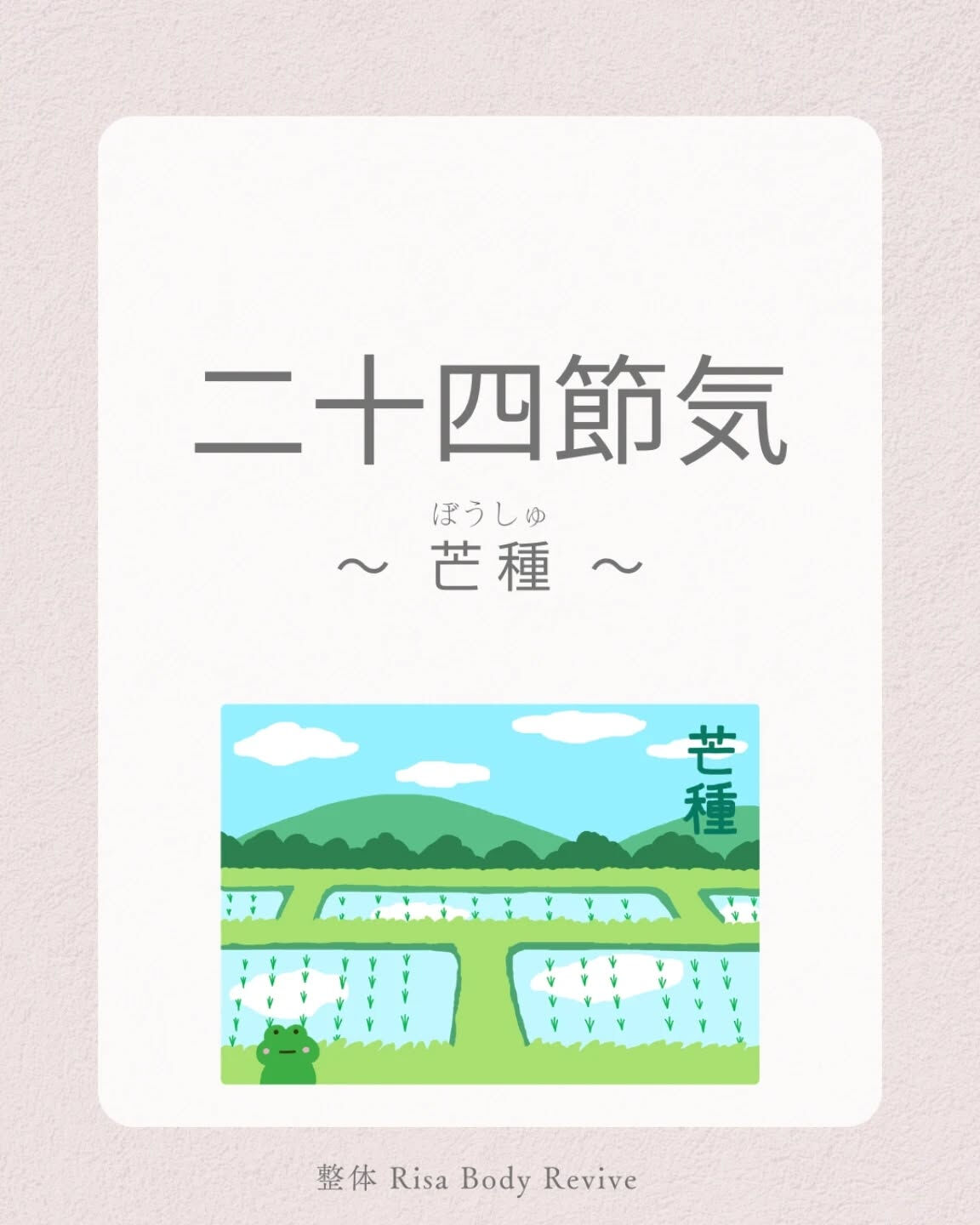 今日6月6日は、二十四節気の「芒種（ぼうしゅ）」です🌾