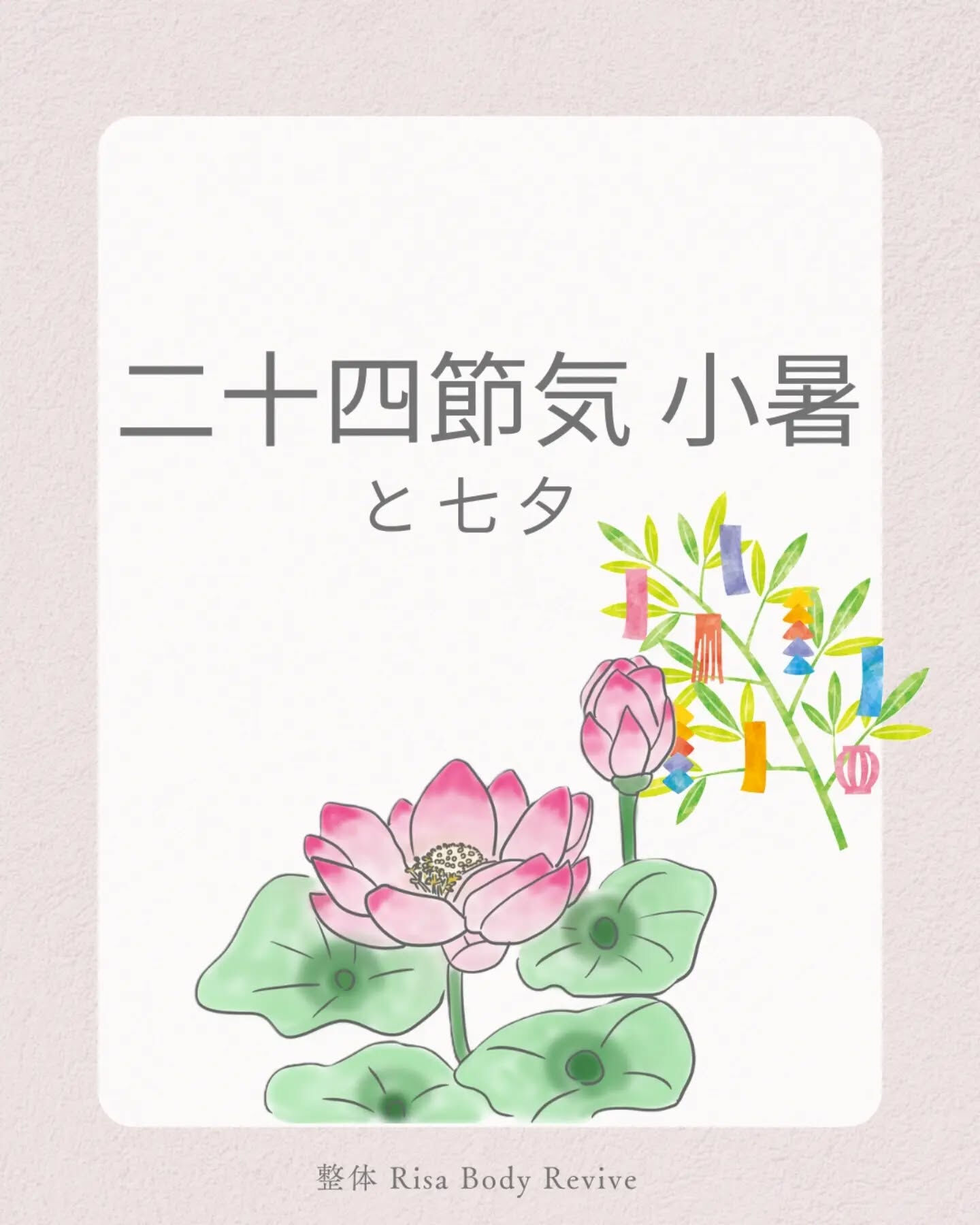 今日は7月7日、七夕ですね🎋