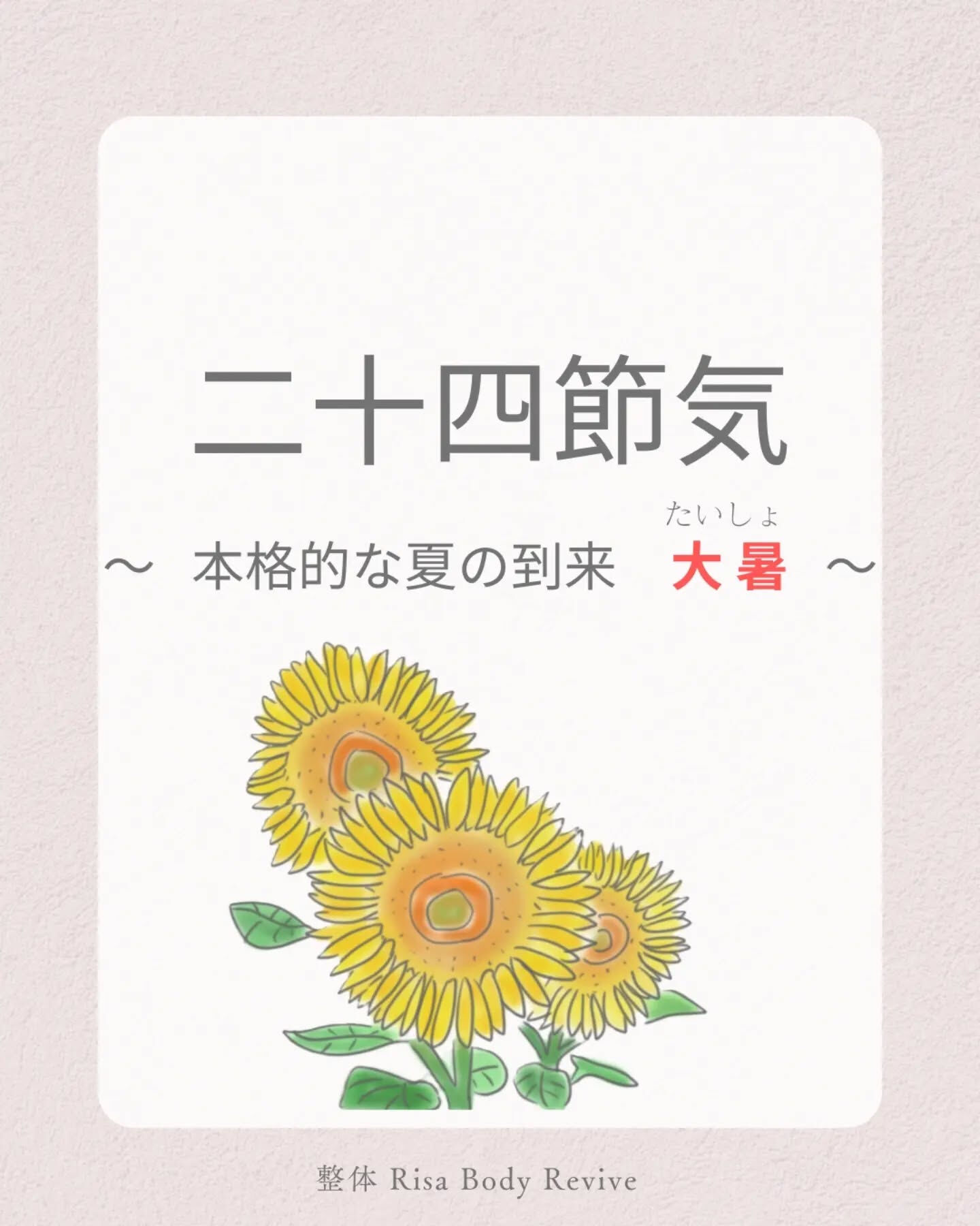 本格的な暑さの到来【大暑】☀️